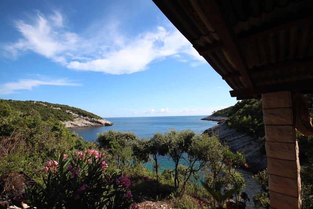 Conte * Korčula