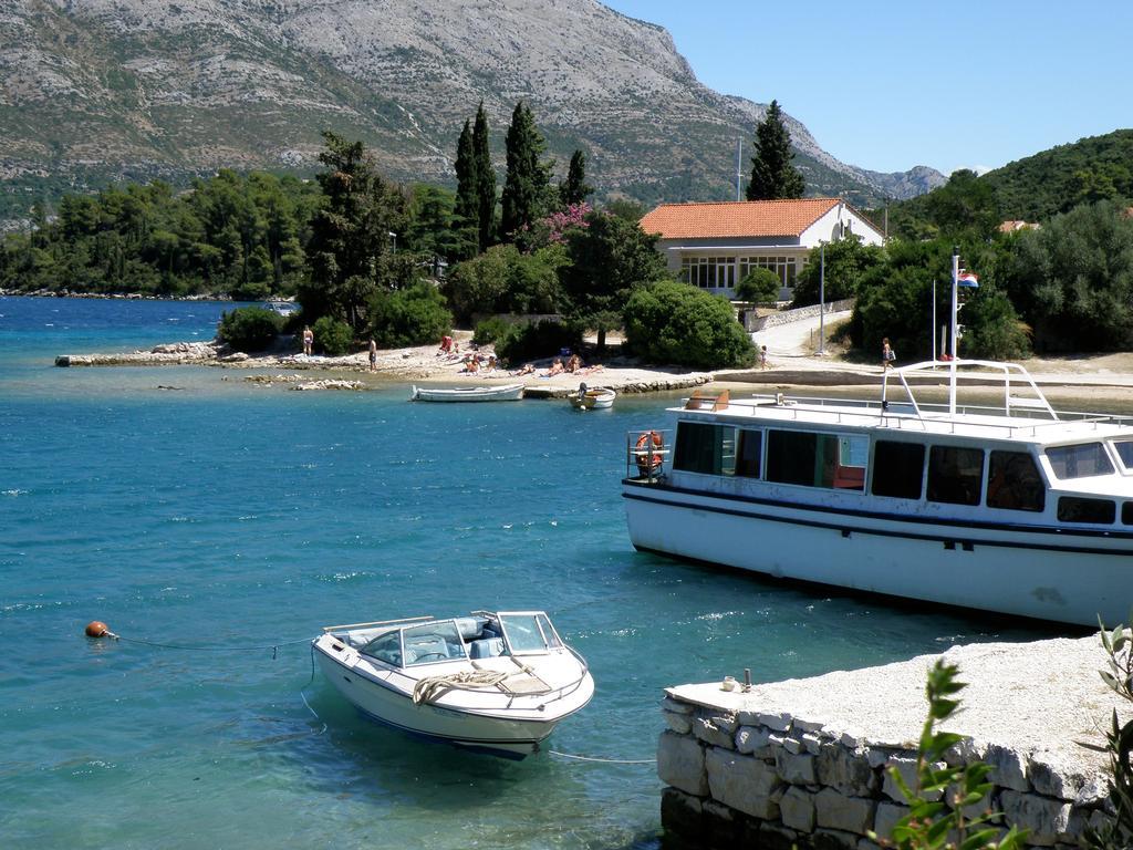 Conte * Korčula