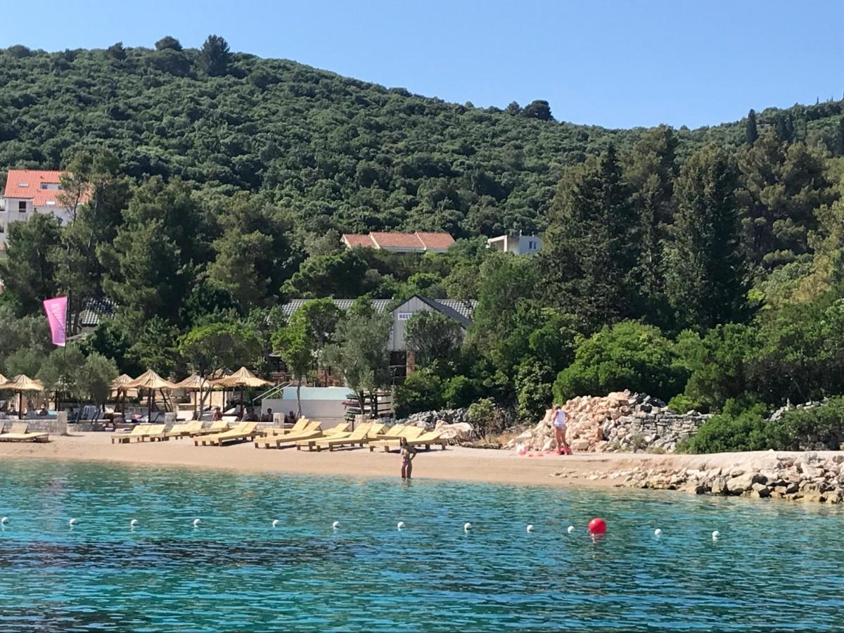 Conte Apartament Korčula