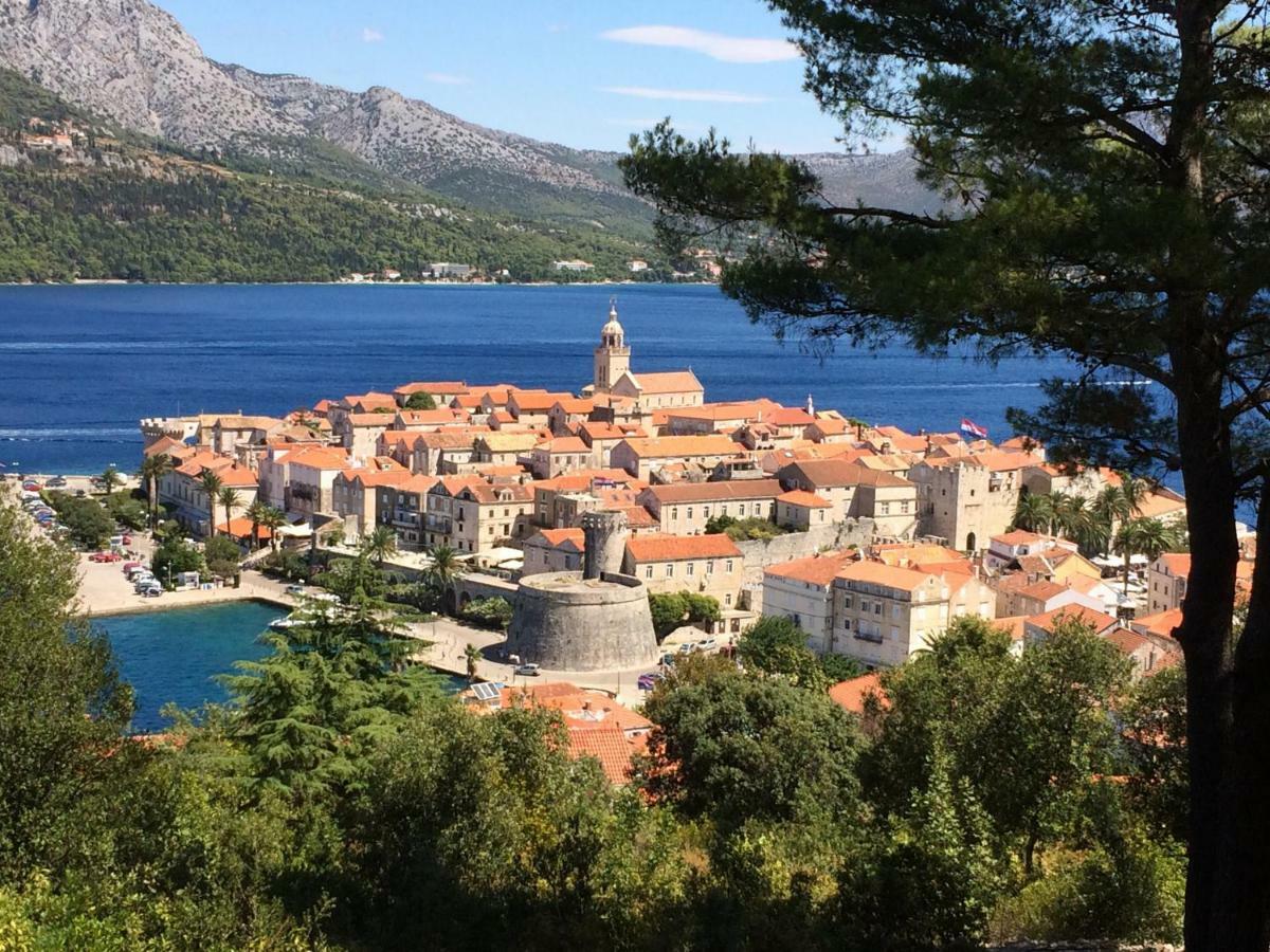 Apartament Conte
