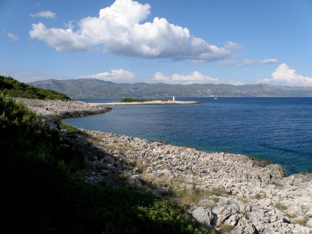 Conte * Korcula Town