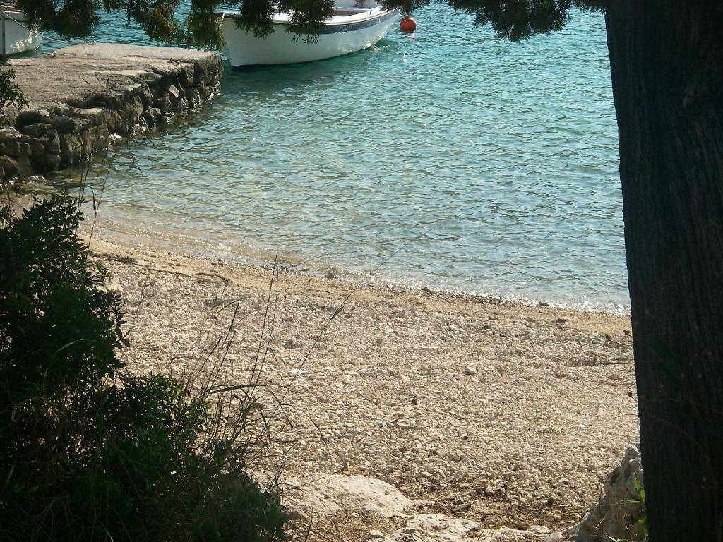 Apartment Conte Korcula Town